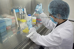 金华想办理匿名亲子鉴定如何做，金华想做匿名亲子鉴定的流程